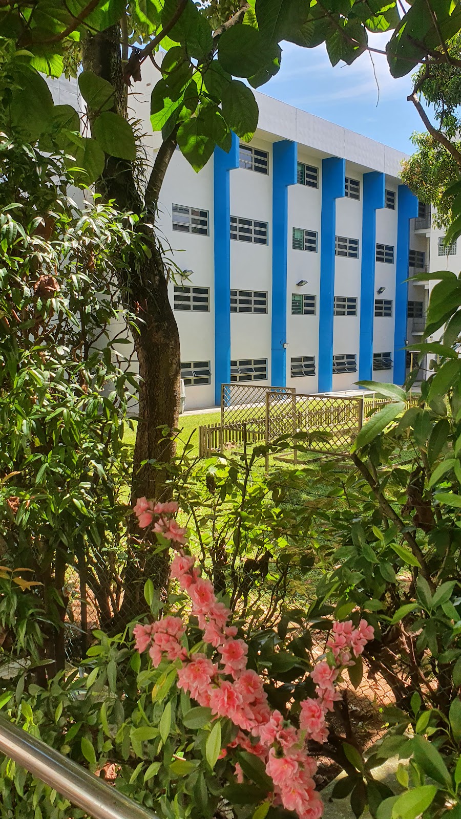 School Image