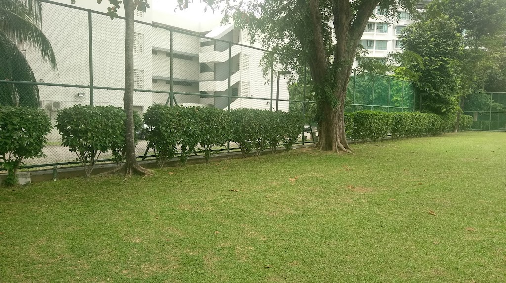 School Image