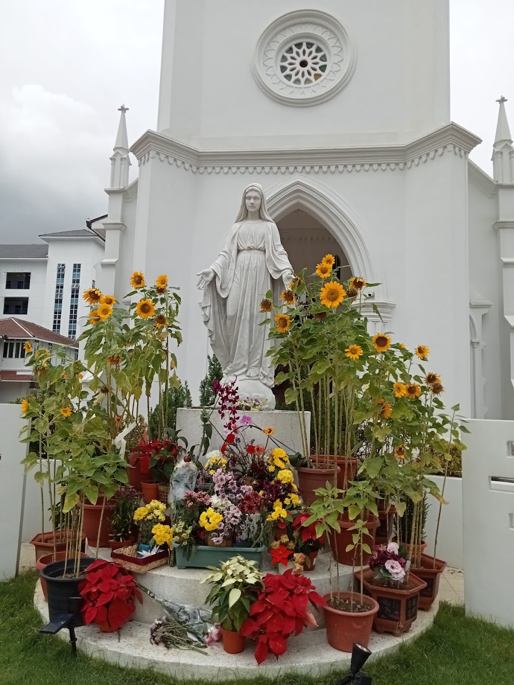 School Image
