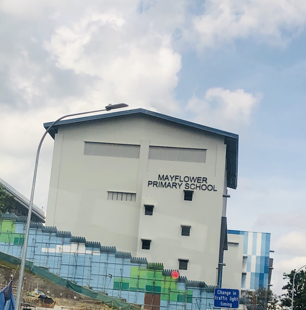 Littleone Your Trusted Guide To School Enrolment In Singapore