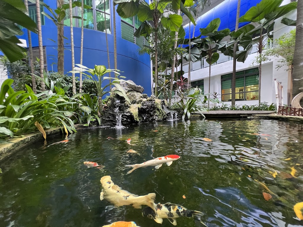 School Image
